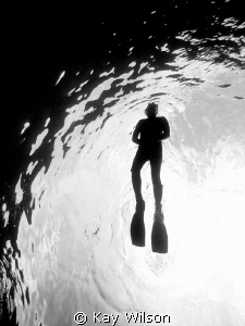 Snorkeler. by Kay Wilson 